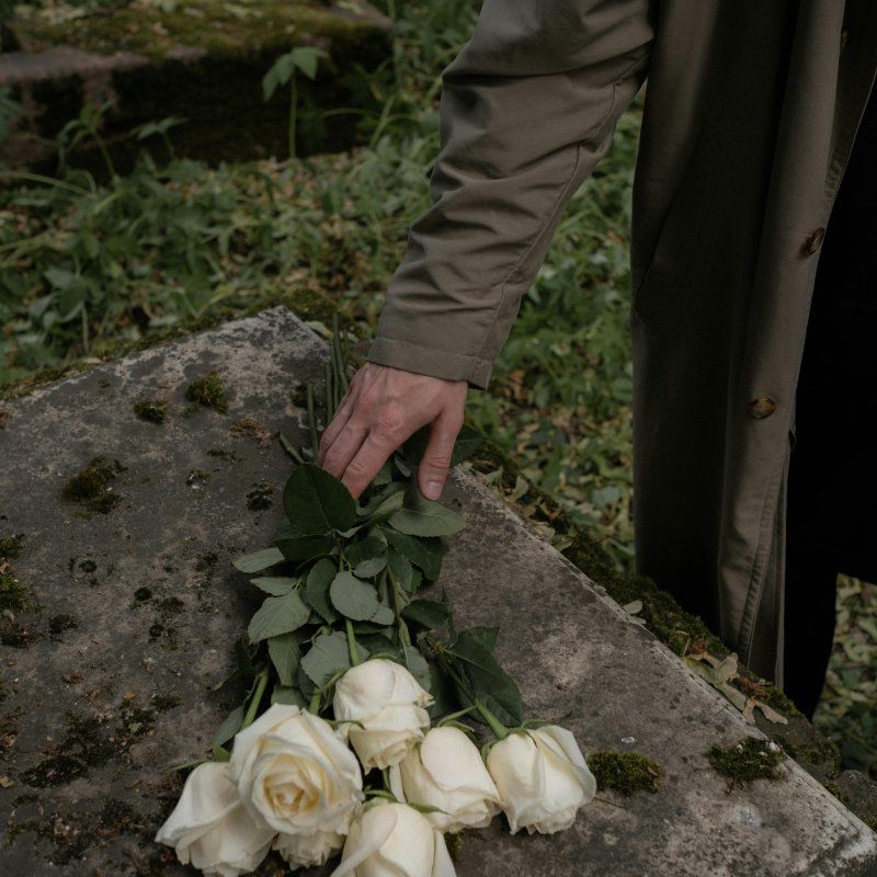 Adieu inoubliable : comment choisir le dernier repos pour nos Bien-Aimés
